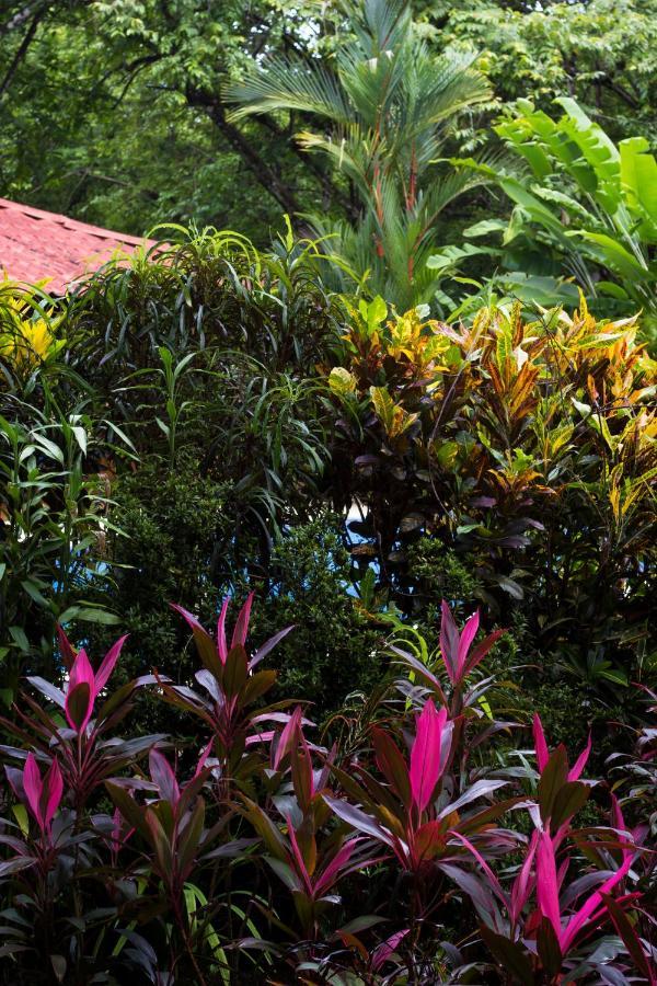 Casa Colores Montezuma Exterior foto